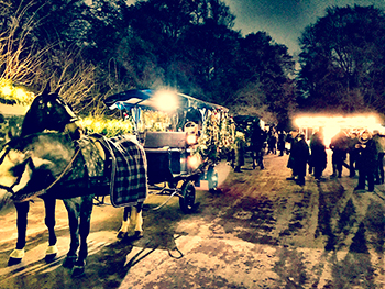 Planwagenfahrt mit Team